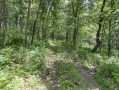 16-IMG_3327.jpg