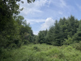 17-IMG_1135.jpg