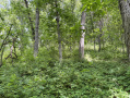 17-IMG_3328.jpg