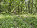 18-IMG_3329.jpg