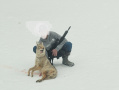 185coyoteedited.jpeg