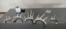 185sheds2edited.jpg