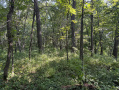 19-IMG_1388.jpg