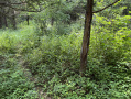 2-IMG_1120.jpg