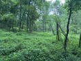 20-IMG_1138.jpg