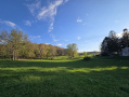20260429_184654.jpg