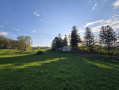 20260429_184658.jpg