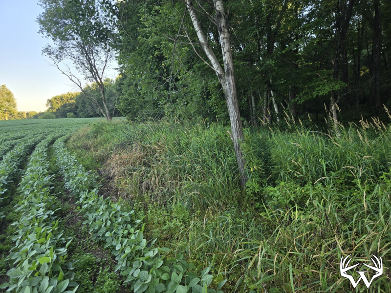 20260714_194349.jpg