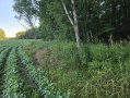 20260714_194349.jpg