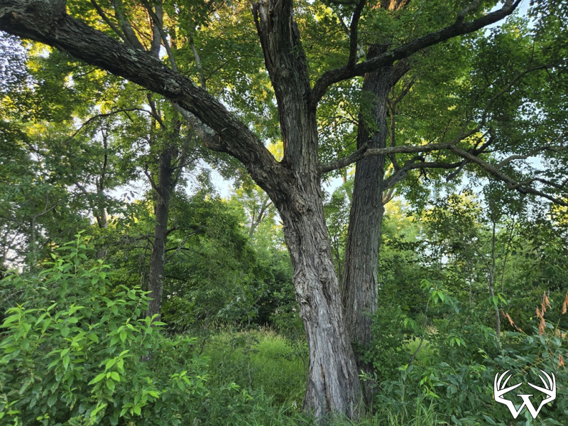 20260714_195230.jpg