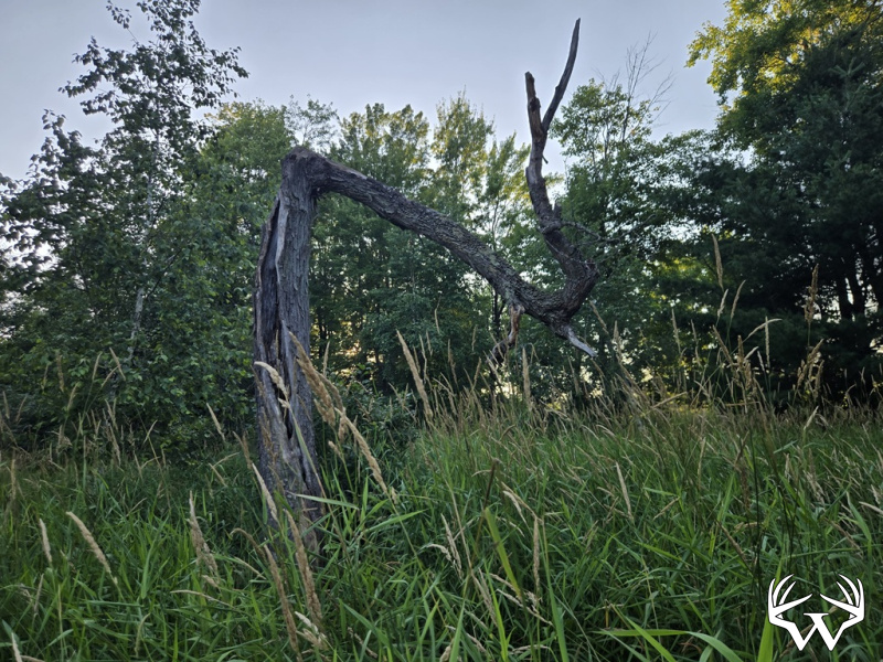 20260714_195503.jpg