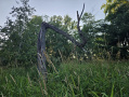 20260714_195503.jpg