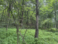 21-IMG_1139.jpg