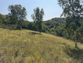 21-IMG_1400.jpg