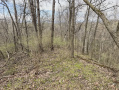 21-IMG_3050.jpg