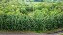 22-DJI_0064.jpg