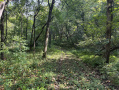 22-IMG_1407.jpg