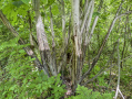 22-IMG_3333_2.jpg