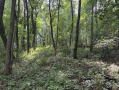 23-IMG_1141.jpg