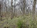 23-IMG_3054.jpg