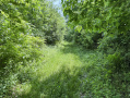 23-IMG_3334.jpg
