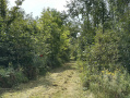 23IMG_1516.JPEG