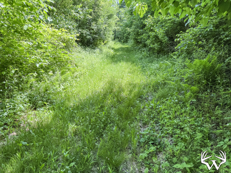 24-IMG_3335_1.jpg