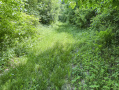 24-IMG_3335_1.jpg