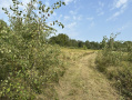 24IMG_1496.JPEG
