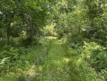 25-IMG_3336_1.jpg