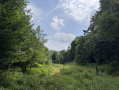 26-IMG_1144.jpg