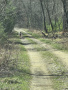 26-IMG_2973_1.jpg