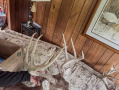 26-IMG_3123.jpg