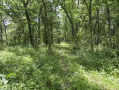 26-IMG_3337.jpg
