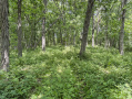 27-IMG_3338.jpg