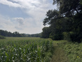 28-IMG_1146.jpg