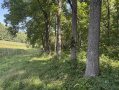 28-IMG_1430.jpg