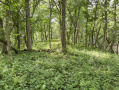 28-IMG_3339.jpg