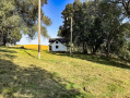 29-IMG_1650.jpg