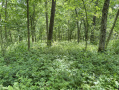 29-IMG_3340.jpg