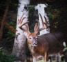3-IMG_0272.jpg