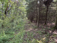 3-IMG_1121.jpg