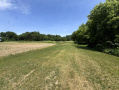 3-IMG_3314.jpg