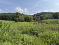 31-IMG_1149.jpg