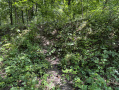 31-IMG_1445.jpg