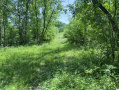 31-IMG_3342.jpg