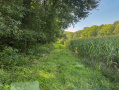 32-IMG_1446.jpg