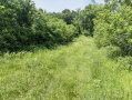 33-IMG_3344_1.jpg