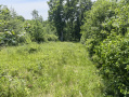 34-IMG_3345.jpg
