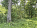36-IMG_3347.jpg